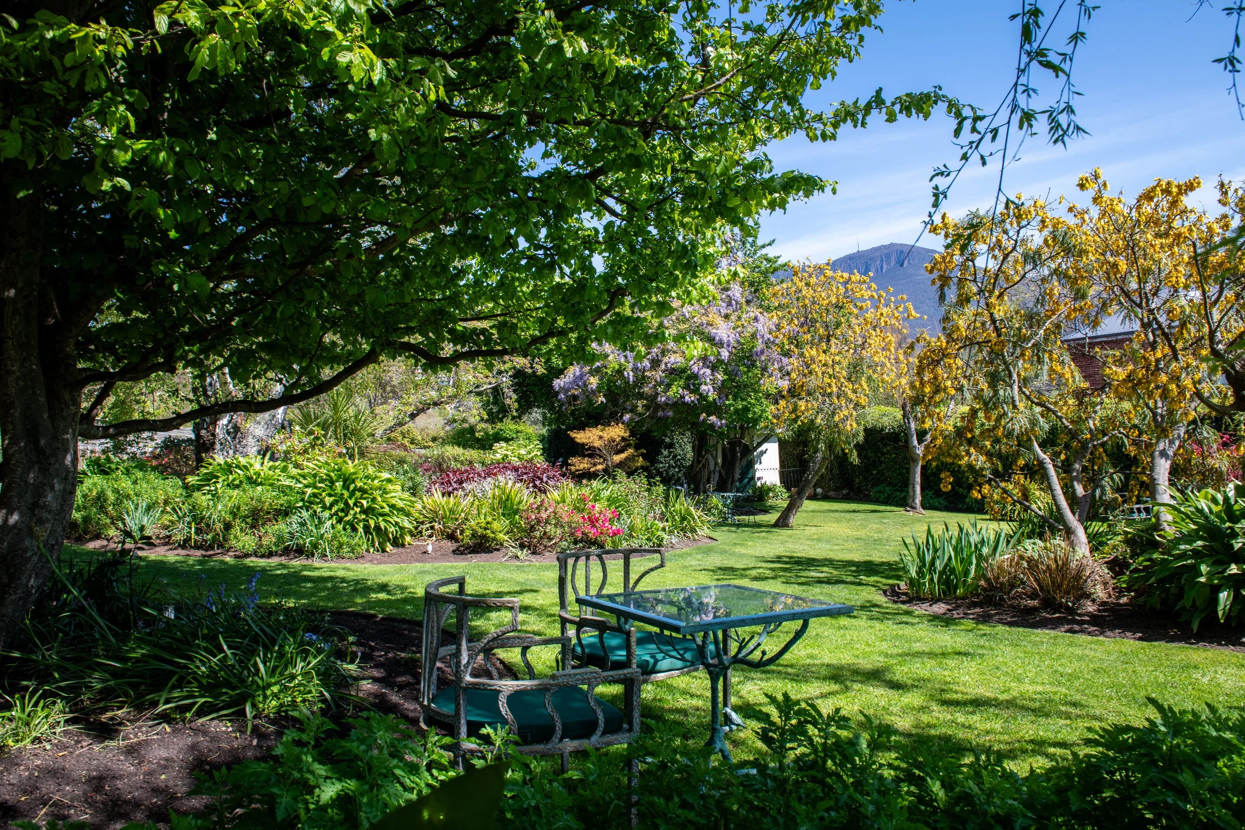 THE GARDEN